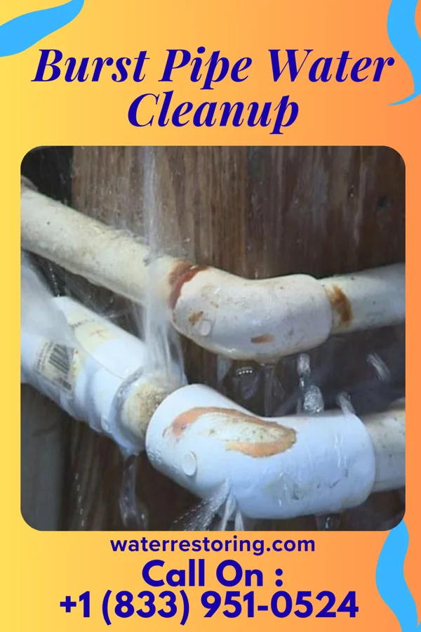 Burst Pipe Water Cleanup in Lakeview, NY