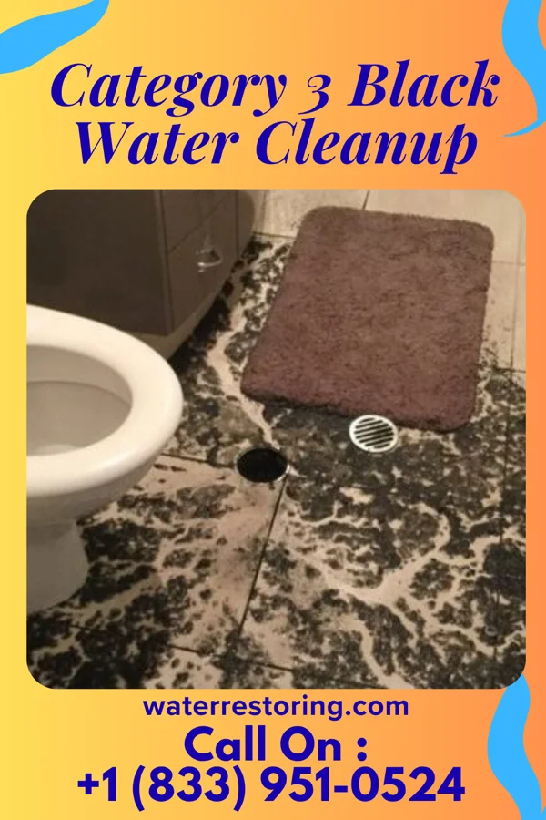 Category 3 Black Water Cleanup in Lakeview, NY