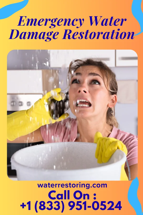 Emergency Water Damage Restoration in Lakeview, NY