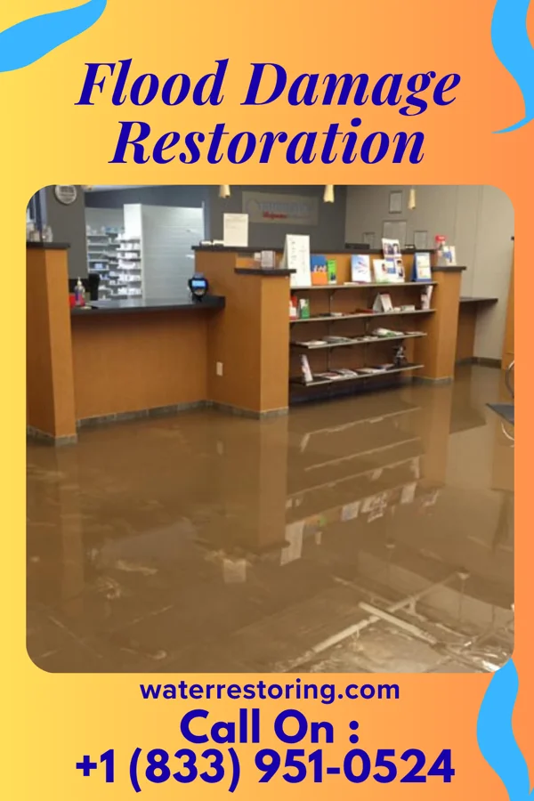 Flood Damage Restoration in Lakeview, NY