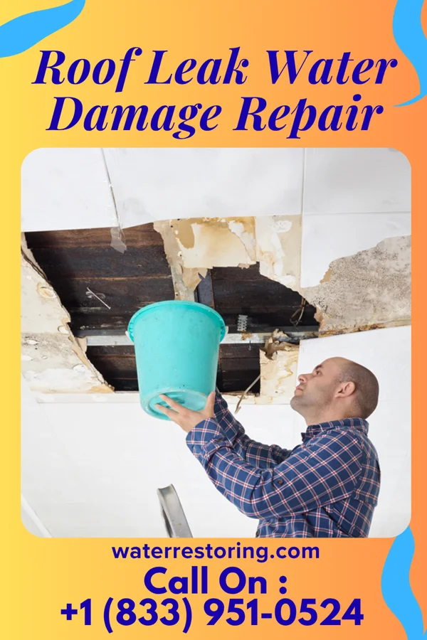 Roof Leak Water Damage Repair in Lakeview, NY