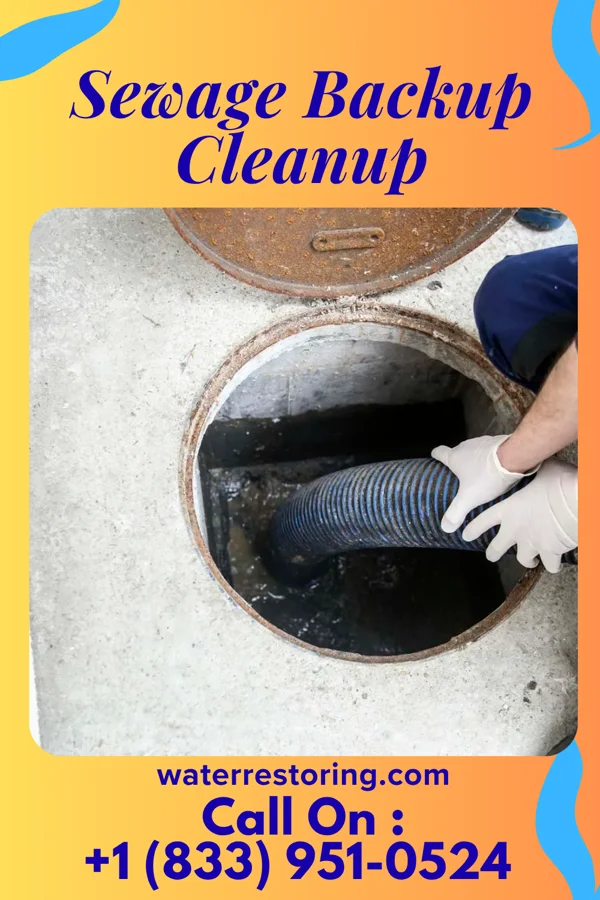 Sewage Backup Cleanup in Lakeview, NY