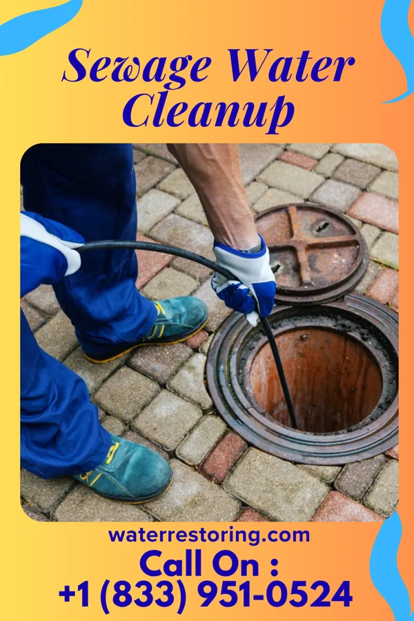 Sewage Water Cleanup in Lakeview, NY