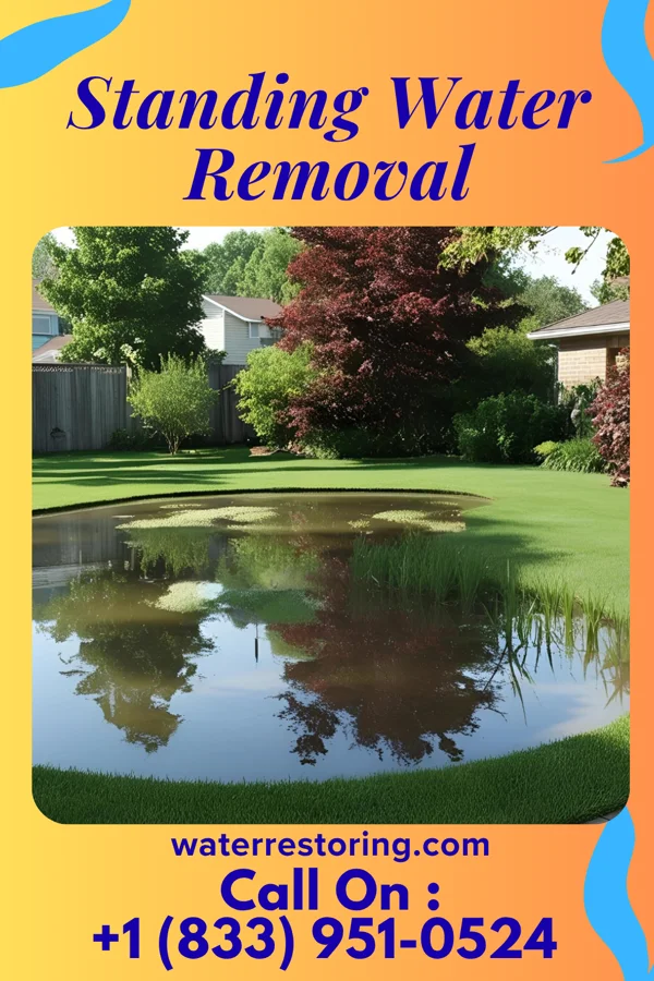 Standing Water Removal in Lakeview, NY